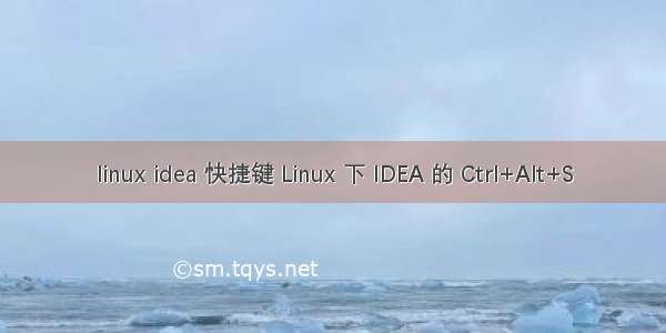 linux idea 快捷键 Linux 下 IDEA 的 Ctrl+Alt+S