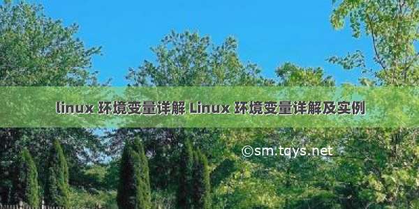 linux 环境变量详解 Linux 环境变量详解及实例