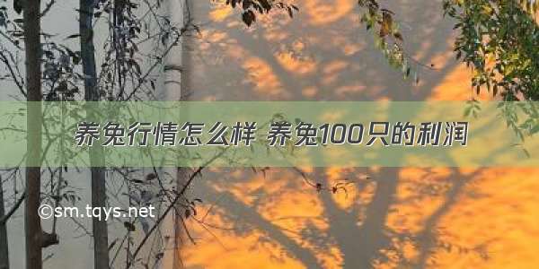 养兔行情怎么样 养兔100只的利润