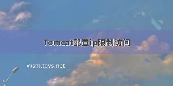 Tomcat配置ip限制访问