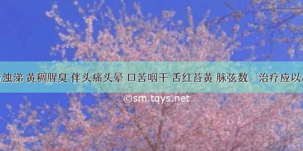 患者鼻流浊涕 黄稠腥臭 伴头痛头晕 口苦咽干 舌红苔黄 脉弦数。治疗应以A.手太阴