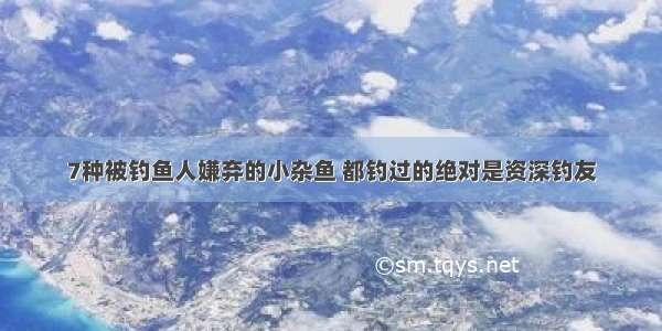 7种被钓鱼人嫌弃的小杂鱼 都钓过的绝对是资深钓友