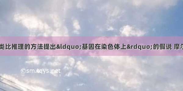 （5分）萨顿运用类比推理的方法提出&ldquo;基因在染色体上&rdquo;的假说 摩尔根起初对此假说持