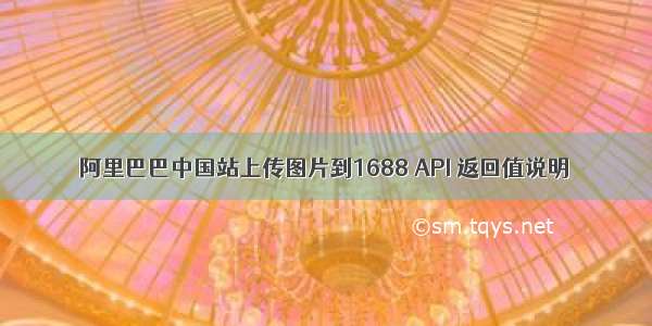 阿里巴巴中国站上传图片到1688 API 返回值说明