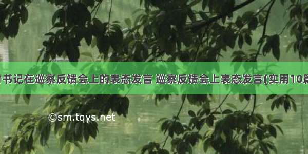 村书记在巡察反馈会上的表态发言 巡察反馈会上表态发言(实用10篇)