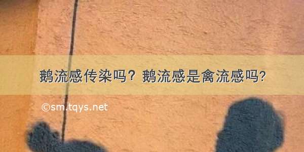 鹅流感传染吗？鹅流感是禽流感吗?