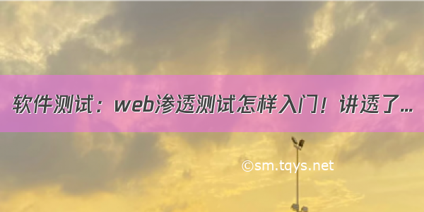 软件测试：web渗透测试怎样入门！讲透了...