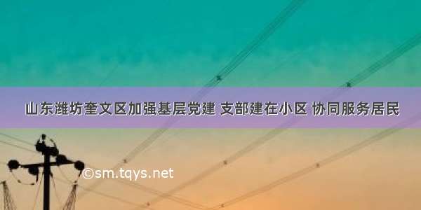 山东潍坊奎文区加强基层党建 支部建在小区 协同服务居民