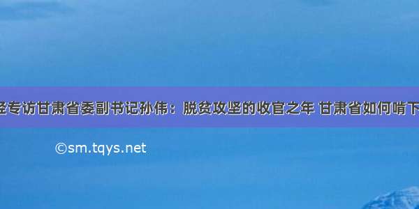 央视财经专访甘肃省委副书记孙伟：脱贫攻坚的收官之年 甘肃省如何啃下硬骨头？