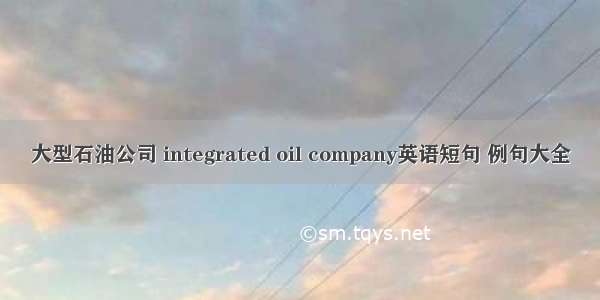大型石油公司 integrated oil company英语短句 例句大全