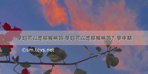 孕妇可以吃猕猴桃吗 孕妇可以吃猕猴桃吗？孕中期