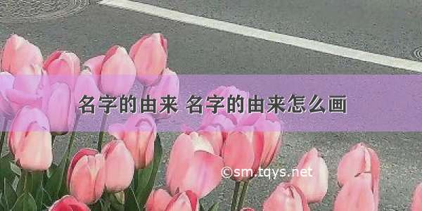 名字的由来 名字的由来怎么画