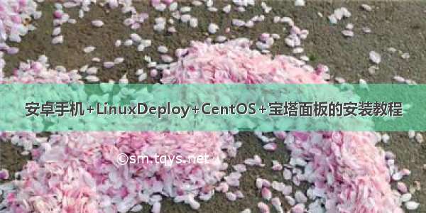 安卓手机+LinuxDeploy+CentOS+宝塔面板的安装教程