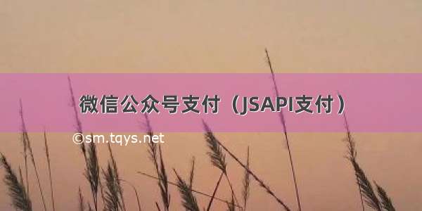 微信公众号支付（JSAPI支付）