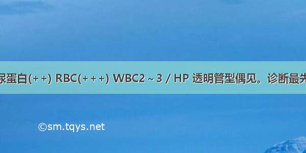 Hb120g／L 尿蛋白(++) RBC(+++) WBC2～3／HP 透明管型偶见。诊断最先考虑A.急性肾