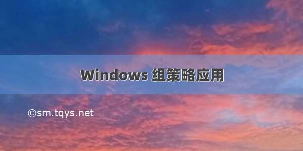 Windows 组策略应用
