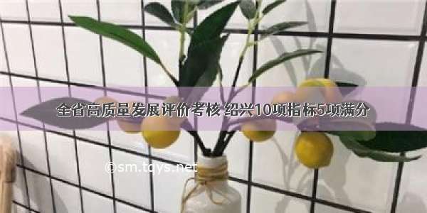 全省高质量发展评价考核 绍兴10项指标5项满分