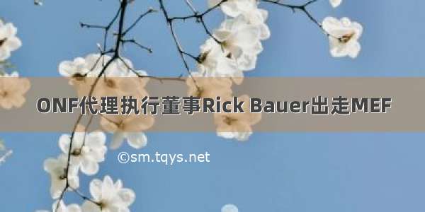 ONF代理执行董事Rick Bauer出走MEF