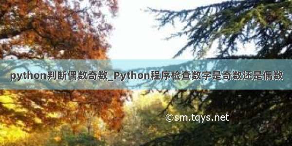 python判断偶数奇数_Python程序检查数字是奇数还是偶数