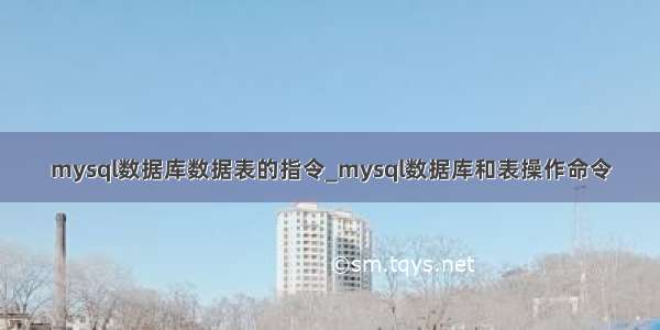 mysql数据库数据表的指令_mysql数据库和表操作命令