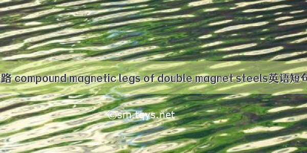 双磁钢复合磁路 compound magnetic legs of double magnet steels英语短句 例句大全