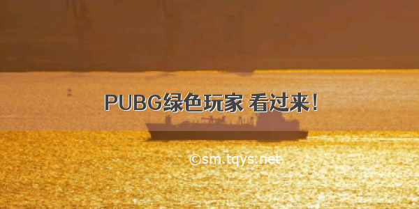 PUBG绿色玩家 看过来！