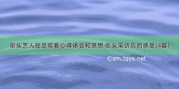 街头艺人驻足观看心得体会和感想 街头采访后的感受(4篇)