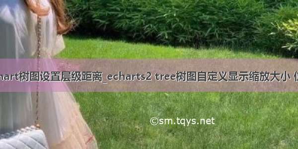 echart树图设置层级距离_echarts2 tree树图自定义显示缩放大小 位置