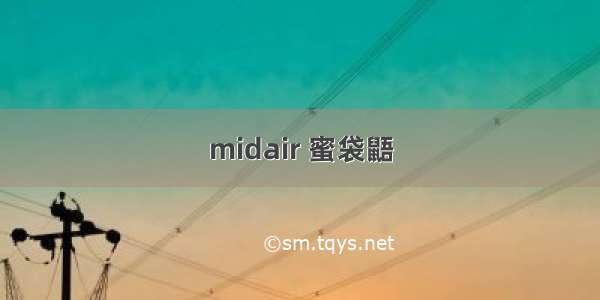 midair 蜜袋鼯