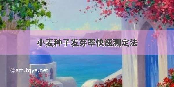 小麦种子发芽率快速测定法