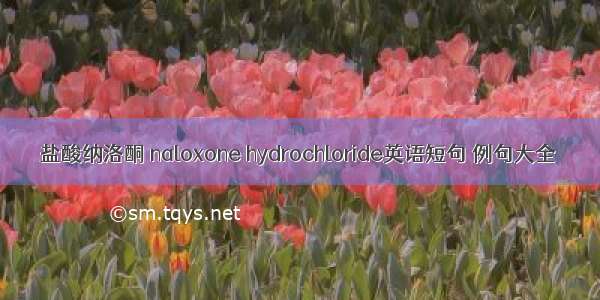 盐酸纳洛酮 naloxone hydrochloride英语短句 例句大全