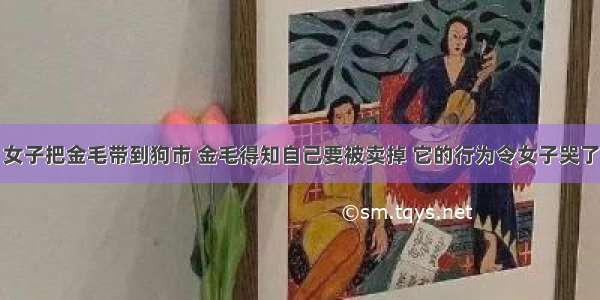 女子把金毛带到狗市 金毛得知自己要被卖掉 它的行为令女子哭了