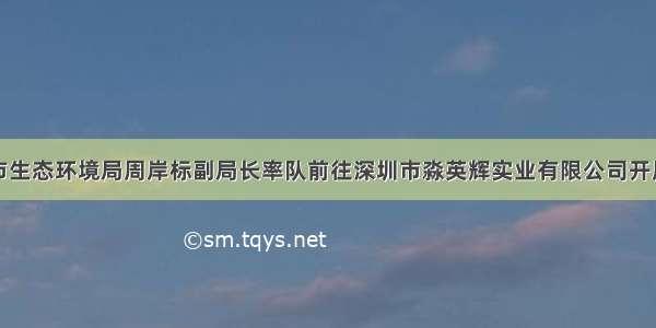 深圳市生态环境局周岸标副局长率队前往深圳市淼英辉实业有限公司开展调研