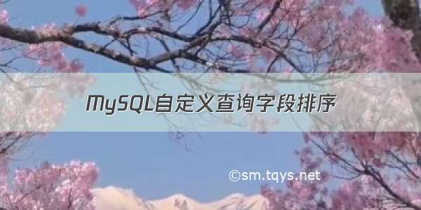 MySQL自定义查询字段排序