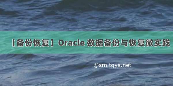 【备份恢复】Oracle 数据备份与恢复微实践