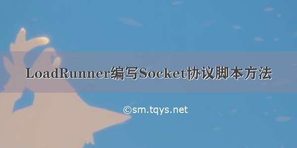 LoadRunner编写Socket协议脚本方法