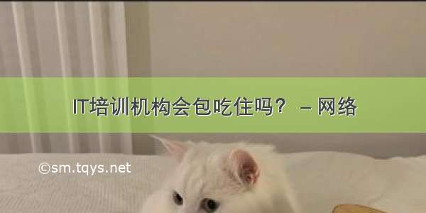 IT培训机构会包吃住吗？ – 网络