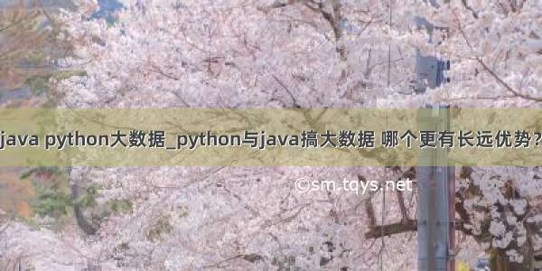 java python大数据_python与java搞大数据 哪个更有长远优势？