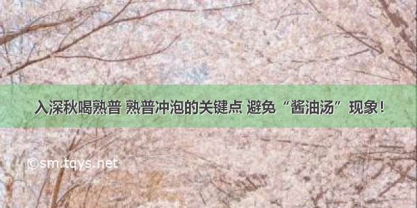 入深秋喝熟普 熟普冲泡的关键点 避免“酱油汤”现象！