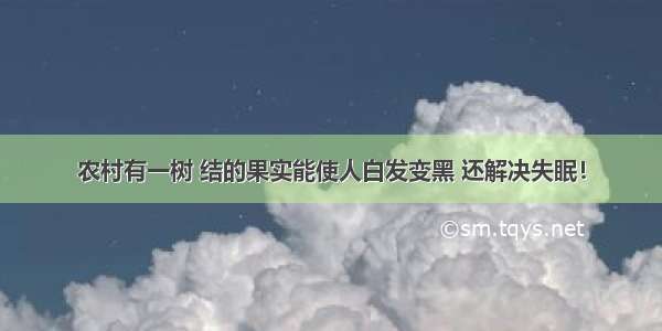 农村有一树 结的果实能使人白发变黑 还解决失眠！