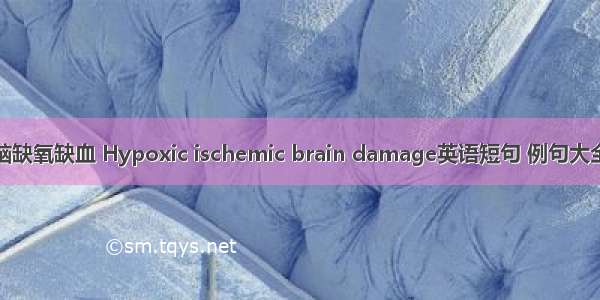 脑缺氧缺血 Hypoxic ischemic brain damage英语短句 例句大全