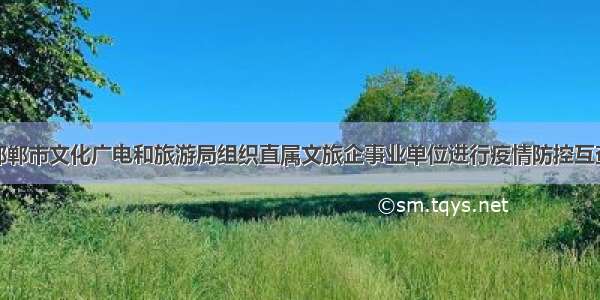 邯郸市文化广电和旅游局组织直属文旅企事业单位进行疫情防控互查