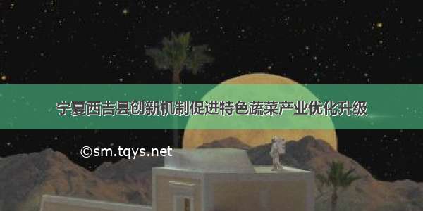 宁夏西吉县创新机制促进特色蔬菜产业优化升级