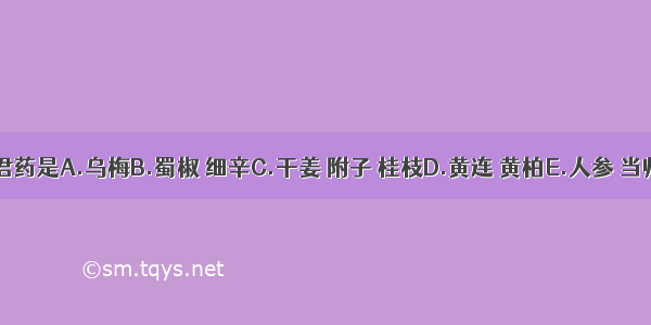 乌梅丸的君药是A.乌梅B.蜀椒 细辛C.干姜 附子 桂枝D.黄连 黄柏E.人参 当归ABCDE