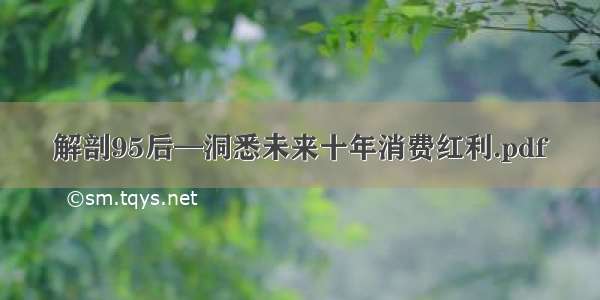 解剖95后—洞悉未来十年消费红利.pdf