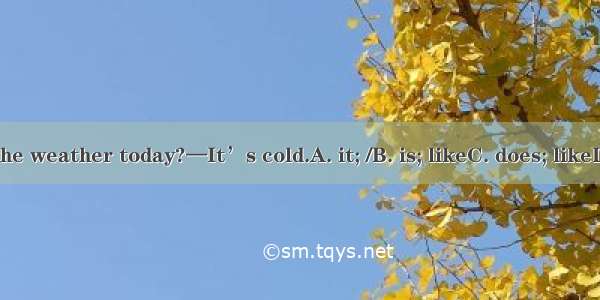 —What the weather today?—It’s cold.A. it; /B. is; likeC. does; likeD. can; be