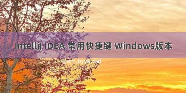 IntelliJ IDEA 常用快捷键 Windows版本