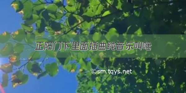 正阳门下里面插曲纯音乐叫啥