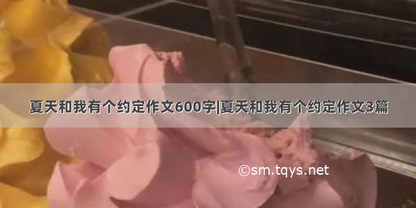 夏天和我有个约定作文600字|夏天和我有个约定作文3篇