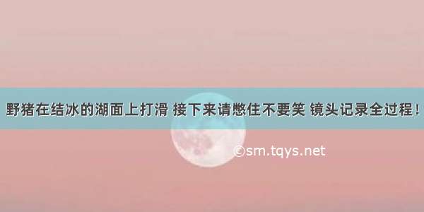 野猪在结冰的湖面上打滑 接下来请憋住不要笑 镜头记录全过程！